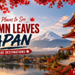 Best Places to See Autumn Leaves Japan