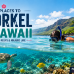 Best Places to Snorkel in Hawaii
